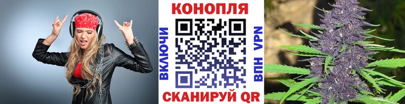 Где купить наркоту Черемхово Псилоцибиновые грибы  Каннабис  COCAIN  КЕТАМИН  МЕФ  ГАШ  Alpha-PVP  мега ONION  МЕТАДОН 
