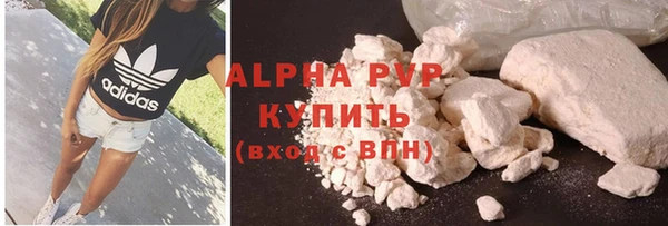 стафф Алексин