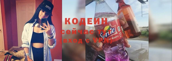 дурь Няндома