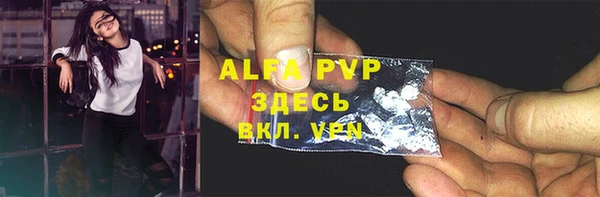 винт Абаза