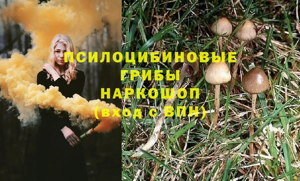 стафф Алексин