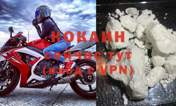 стафф Алексин