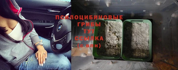трава Нязепетровск