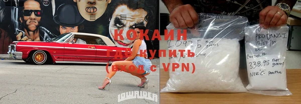 стафф Алексин