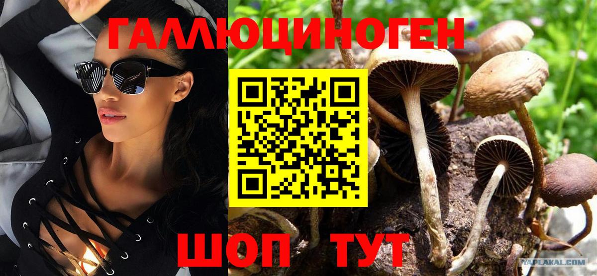 Черемхово  Галлюциногенные грибы GOLDEN TEACHER  Галлюциногенные грибы Magic Shrooms  Вход с VPN 