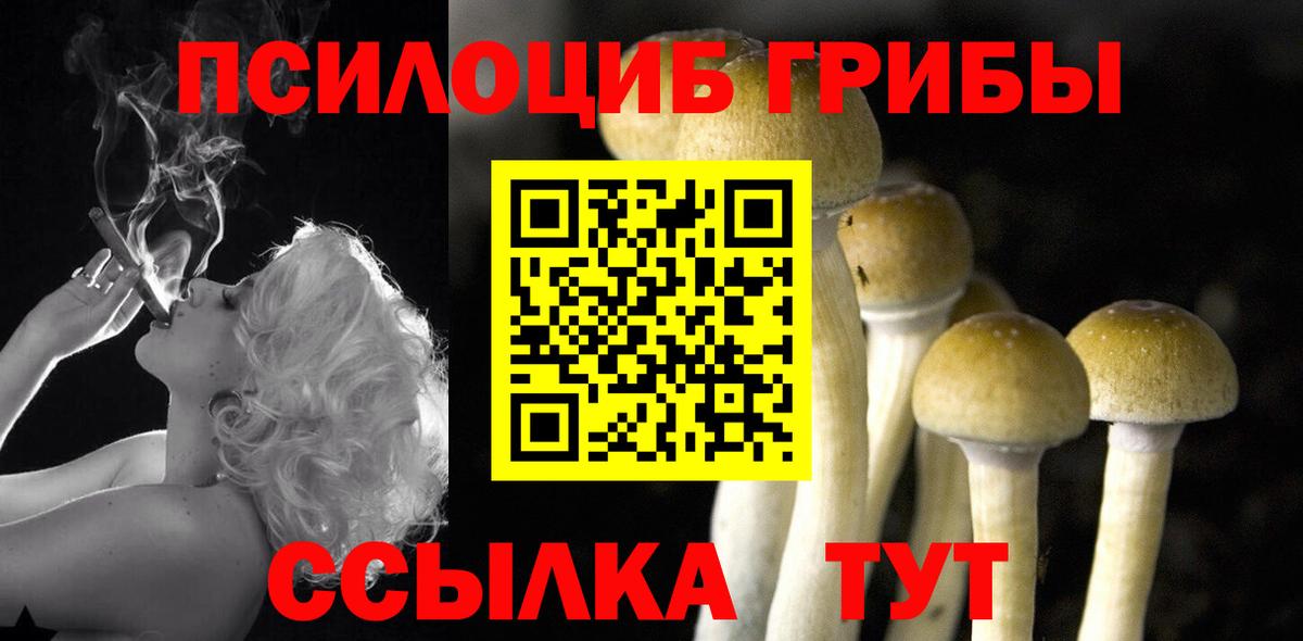 Галлюциногенные грибы MAGIC MUSHROOMS Черемхово